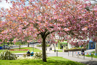 20230425-DSC02973