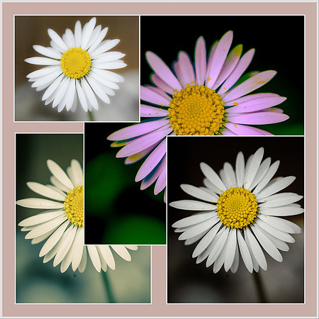 4DF9350F-4D59-4A77-B989-5C2D17AD0948