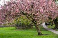 20230425-DSC03005