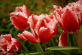 20230517-DSC03299