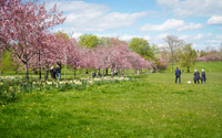 20230425-DSC02977
