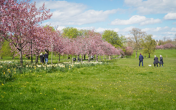 20230425-DSC02977