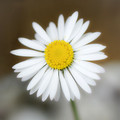 20230514-DSC03284-Edit