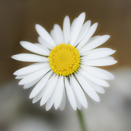 20230514-DSC03284-Edit