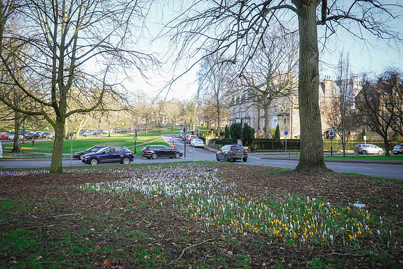 20230223-DSC02821
