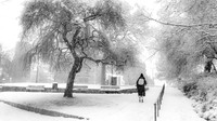IMG_2367-Edit