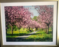 framed and mounted (3 of 14)