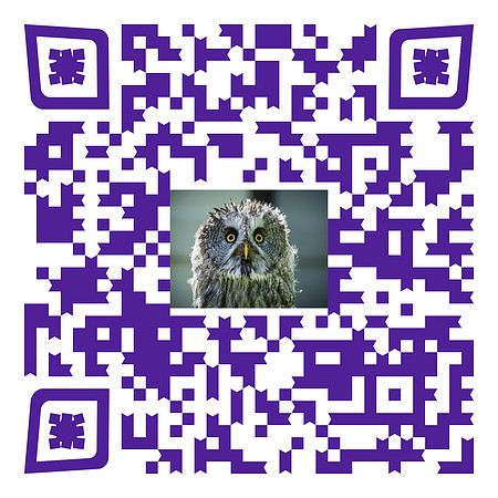qr-code 5