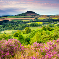 Landscapes