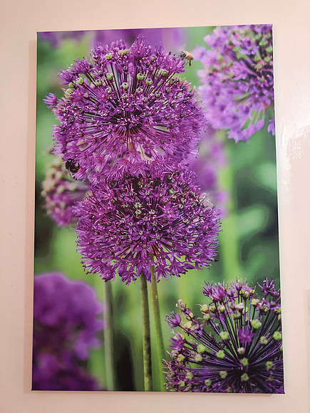 large canvas 60 x 90 cm