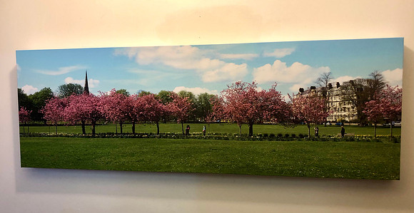 panoramic blossom canvas