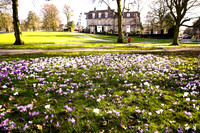 DSC00266-Edit