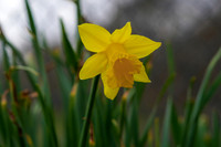 DSC00350
