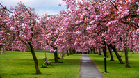 20210429-DSC00558-Edit