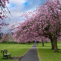 20210429-DSC00577-Edit