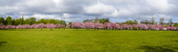 20210429-DSC00579-Pano
