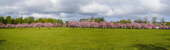 20210429-DSC00579-Pano