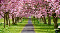 20210429-DSC00599-Edit