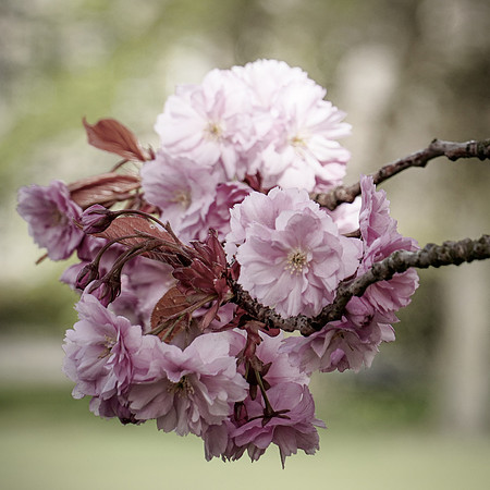 20210429-DSC00602
