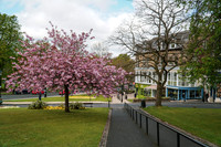 20210429-DSC00652