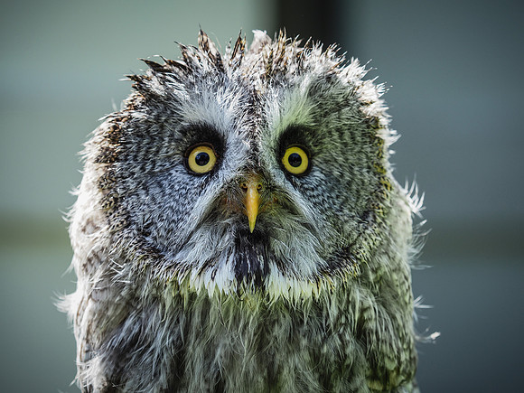 Here's looking at you!