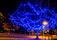 Harrogate