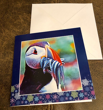5” square greetings card with envelope