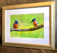 16 x 12 frame with 12 x 8 print. ‘Simply champagne’ frame. bright white single mount