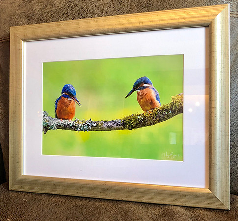 16 x 12 frame with 12 x 8 print. ‘Simply champagne’ frame. bright white single mount