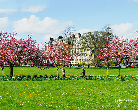 BlossomPanorama - left side