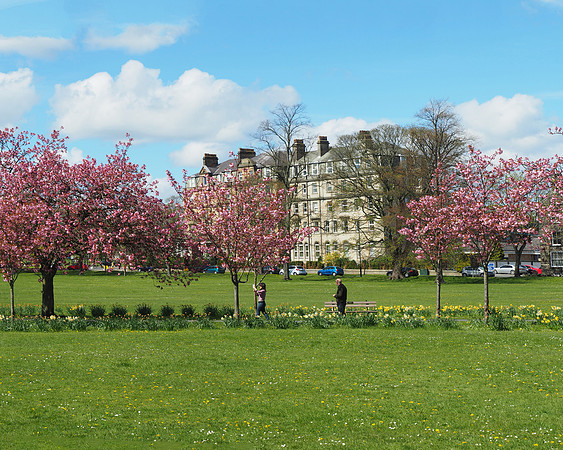 BlossomPanorama1 - right side