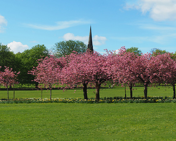 BlossomPanorama1 - left side