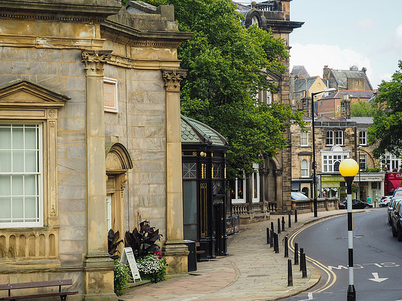 Harrogate Floral Facebook (3 of 10)