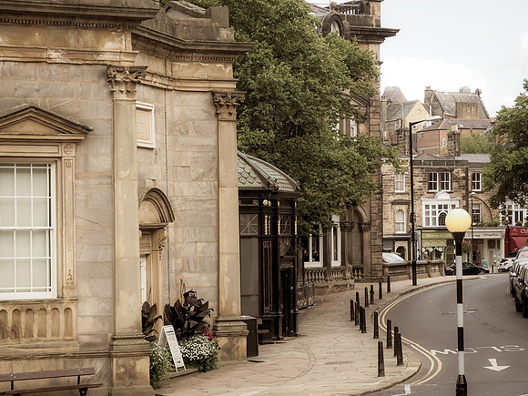 Harrogate Floral Facebook (3 of 10)-2