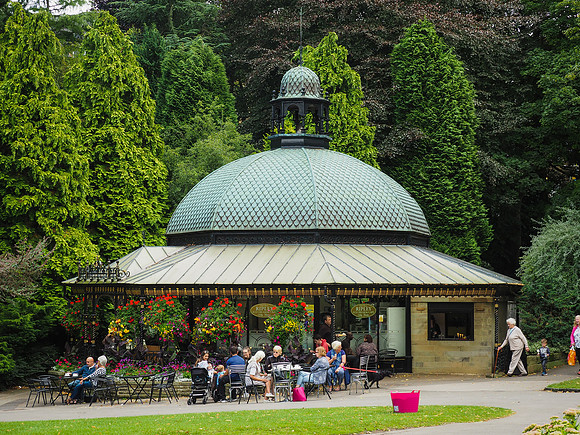 Harrogate Floral Facebook (4 of 10)