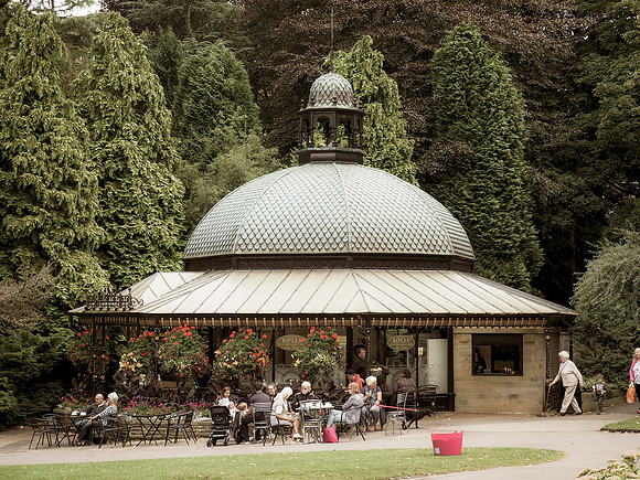 Harrogate Floral Facebook (4 of 10)-2