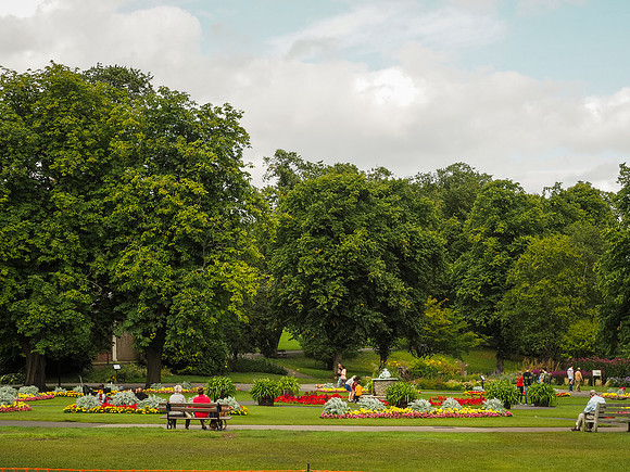 Harrogate Floral Facebook (7 of 10)