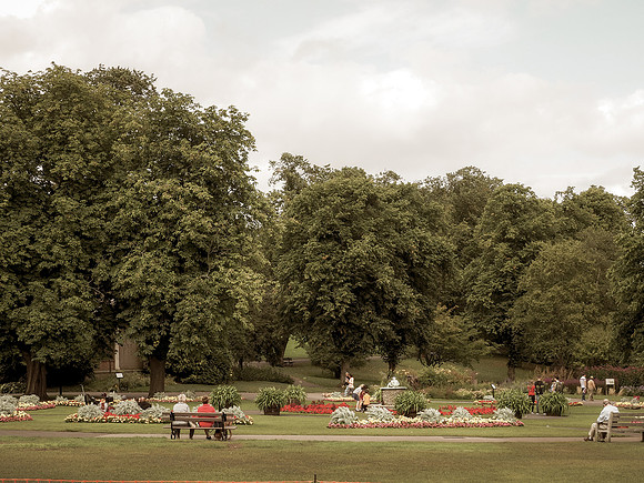 Harrogate Floral Facebook (7 of 10)-2