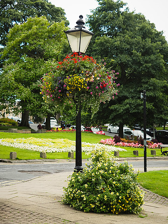 Harrogate Floral Facebook (9 of 10)