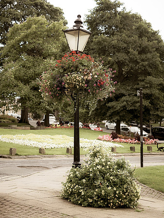 Harrogate Floral Facebook (9 of 10)-2