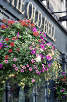Harrogate (22 of 155)