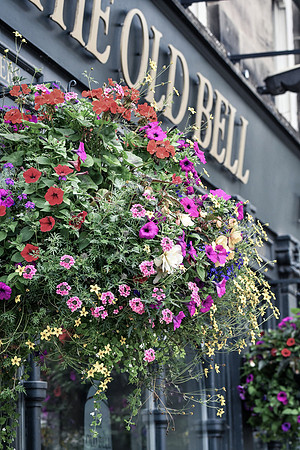 Harrogate (22 of 155)