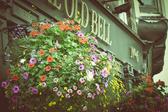 Harrogate (24 of 155)
