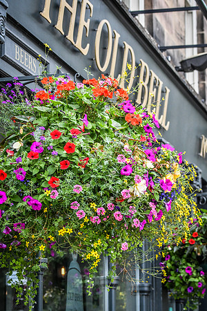 Harrogate (25 of 155)