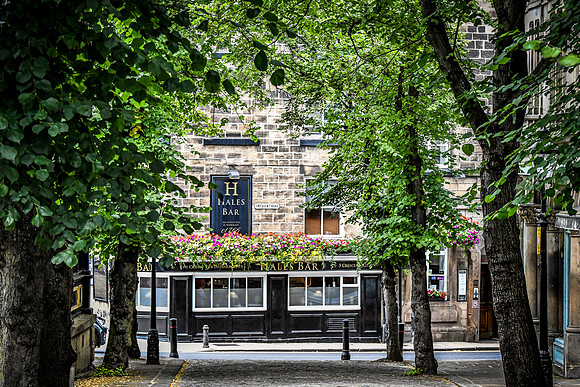 Harrogate (27 of 155)