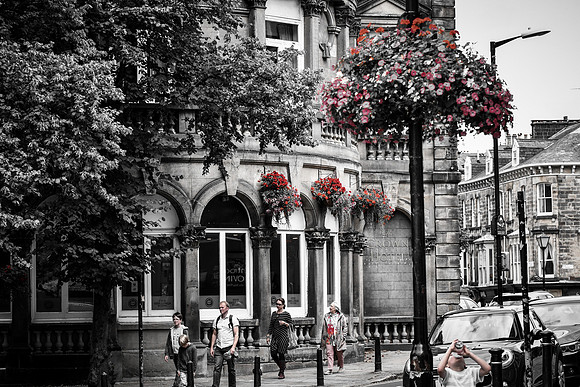 Harrogate (30 of 155)