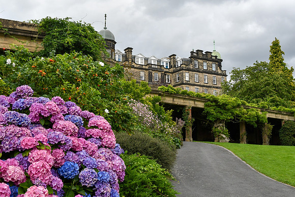 Harrogate (57 of 155)