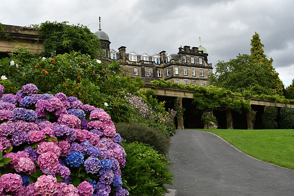 Harrogate (58 of 155)
