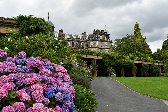 Harrogate (59 of 155)