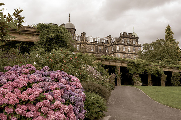 Harrogate (60 of 155)